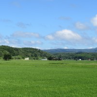 五の沢地藏沢～